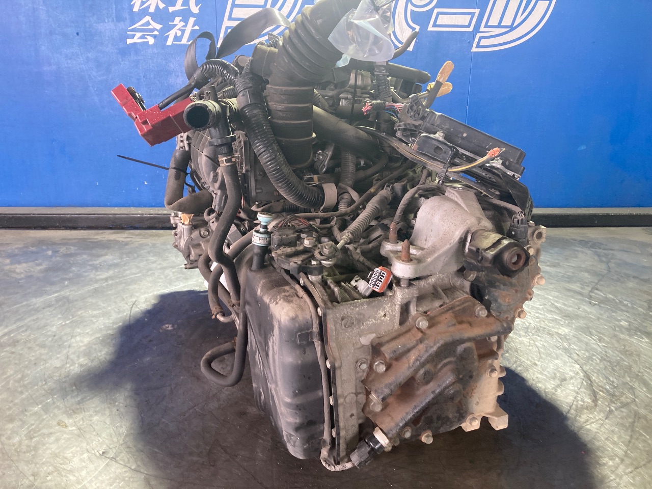 エンジン CPハーネス付 - コルト Ref:SP362532_296 4/8